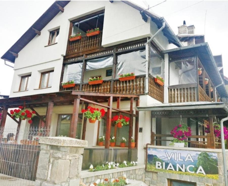 בוסטאני Vila Bianca מראה חיצוני תמונה